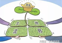 土地流转应具备的条件有哪些