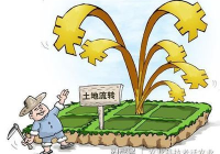 土地流转期限不得超过多少年