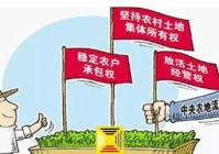 土地流转新政策有哪些