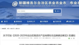 2025土地流转新政策解读