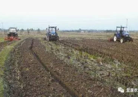 农村土地流转能赚多少钱