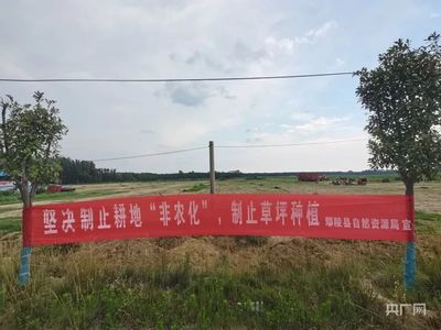 土地流转最新相关政策河南省