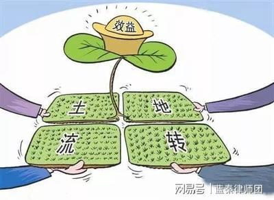 农村土地流转的法律风险防范