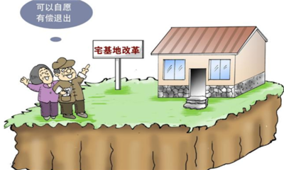 农村土地流转新政策2024