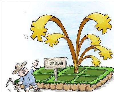 2021最新土地流转政策