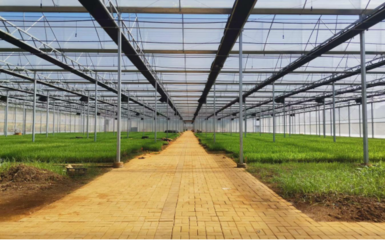 土地流转案例范文大全