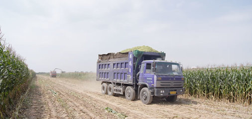 土地流转协议最长多少年