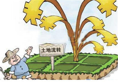 2025年新土地承包法