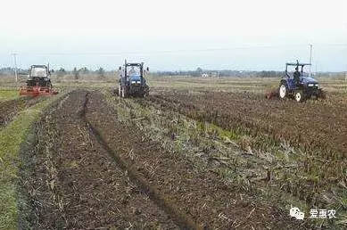 农村土地流转能赚多少钱