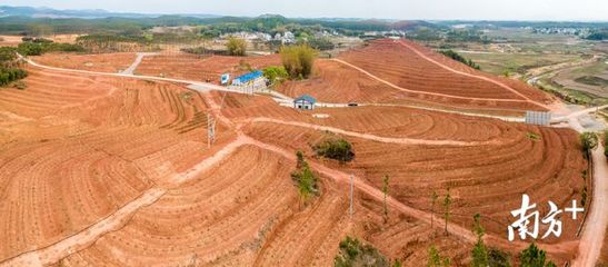 土地流转平台是什么时候开始的