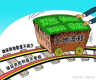 土地流转30亩是什么意思