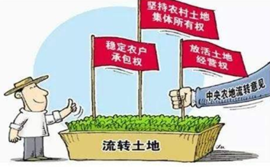 土地流转的政策有哪些