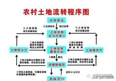 土地流转几种方式有哪些