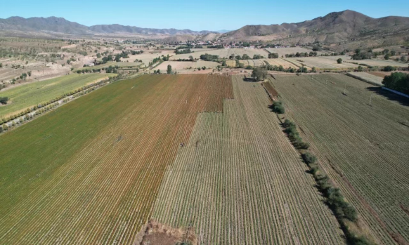 土地流转面积怎么算