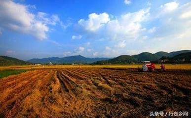 流转土地多少钱一亩合适