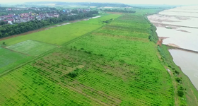 土地流转需要多少钱