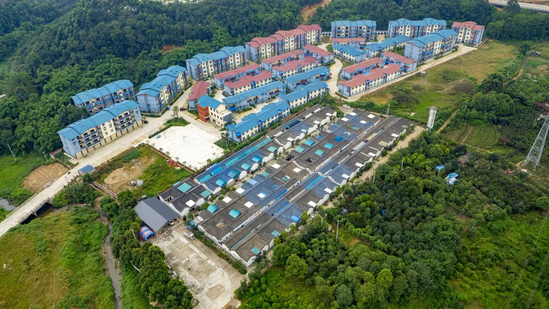 土地流转案例仿真模拟实验报告怎么写