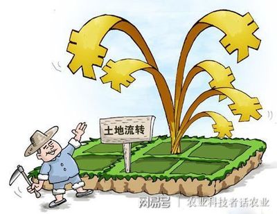 土地流转期限不得超过多少年